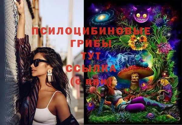 ешки Лабытнанги