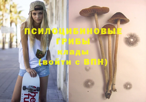 ешки Лабытнанги