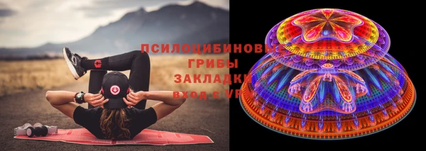 ешки Лабытнанги