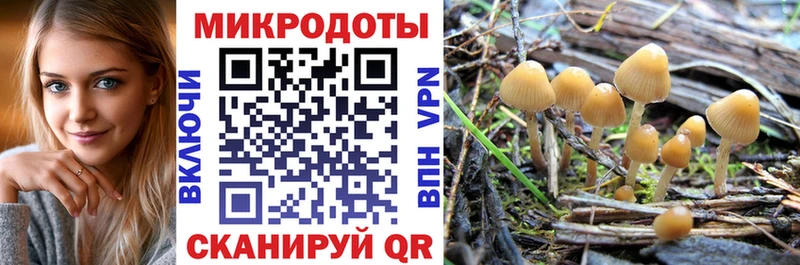 Купить  Дегтярск  Псилоцибиновые грибы MAGIC MUSHROOMS 